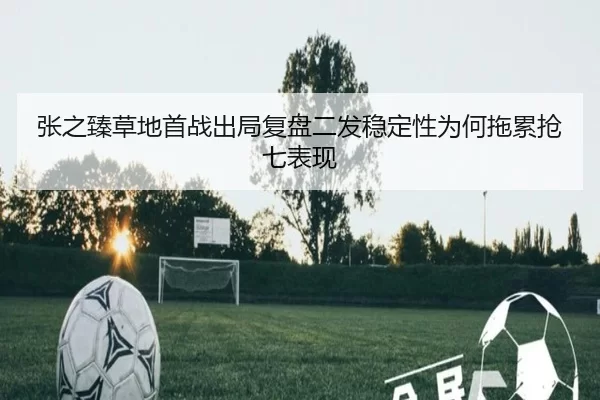 张之臻草地首战出局复盘二发稳定性为何拖累抢七表现